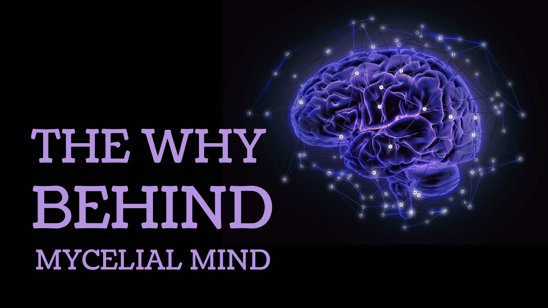 The “Why” Behind Mycelial Mind